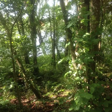 Woodside Self Catering Lough Rynn * Mohill