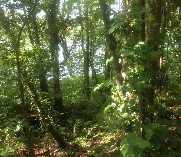 Woodside Self Catering Lough Rynn * Mohill