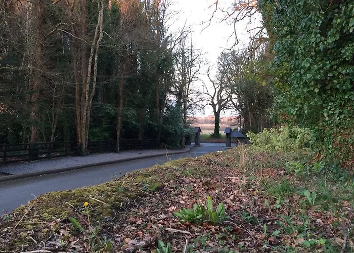 Woodside Self Catering Lough Rynn